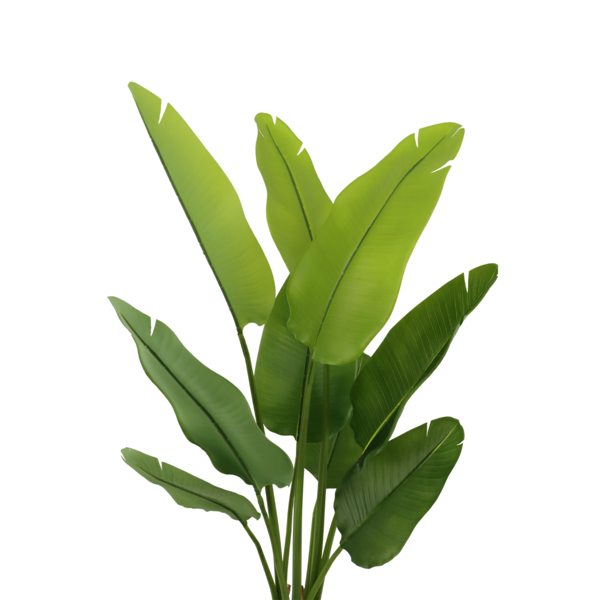 Strelitzia Kunstplant - 120cm hoog