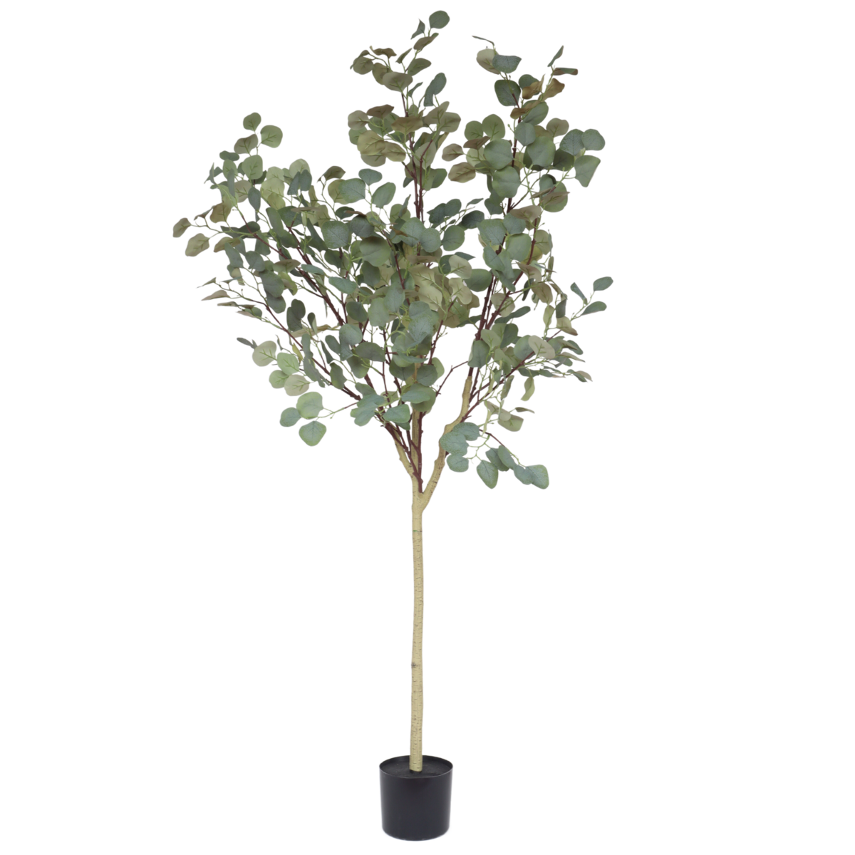 Eucalyptus Kunstboom - 160cm hoog