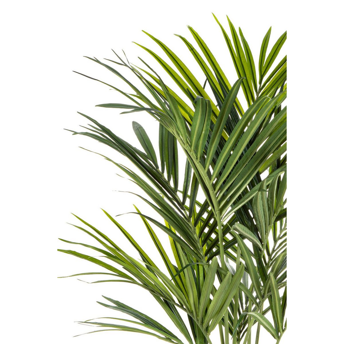 Kentia Kunstpalm - 150cm hoog