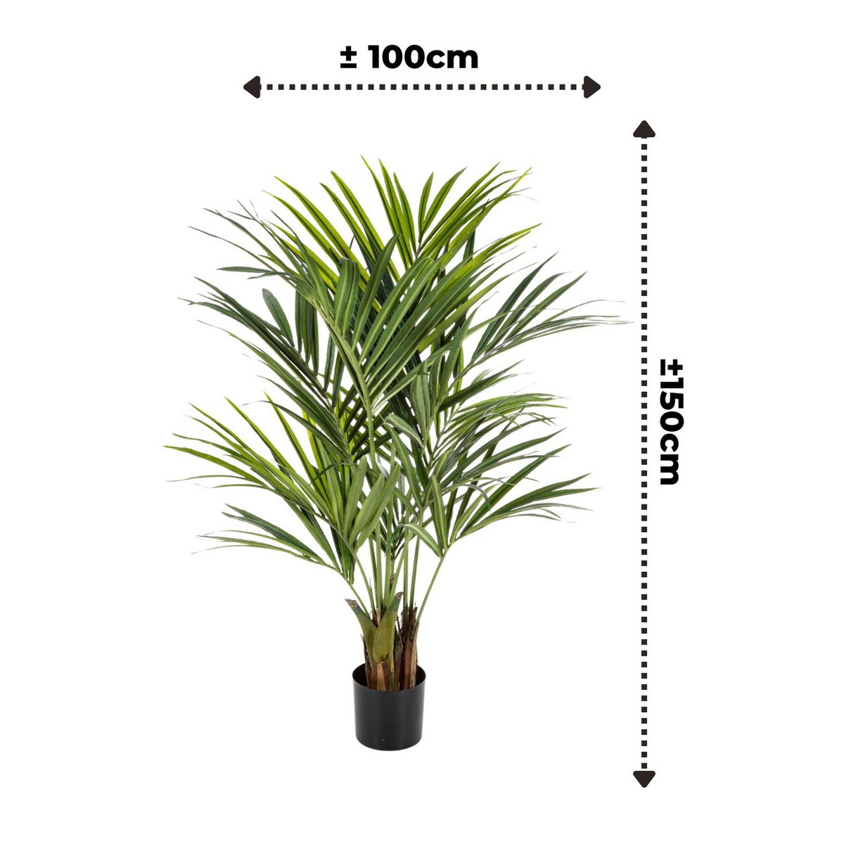 Kentia Kunstpalm - 150cm hoog