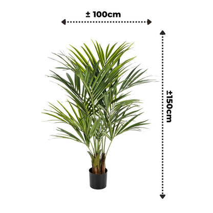 Kentia Kunstpalm - 150cm hoog